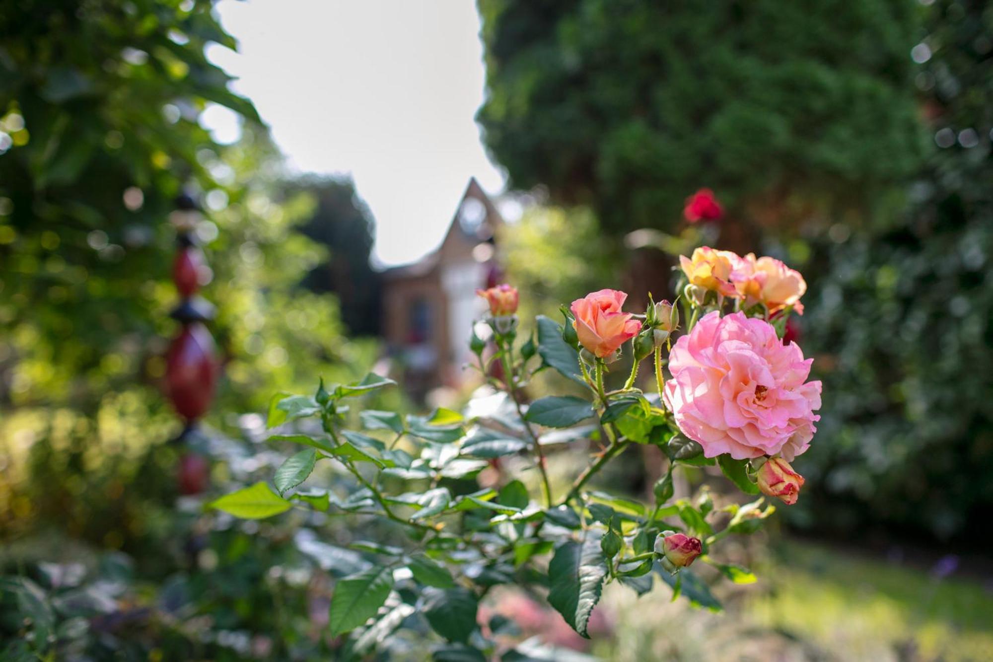 Ferienhaus Jasmin ノイルピーン エクステリア 写真